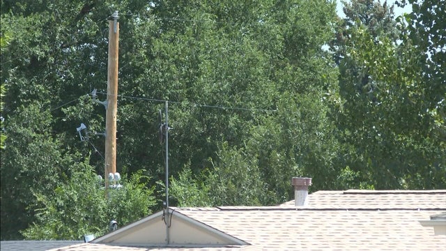 power-lines.jpg 
