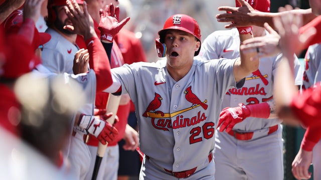 St. Louis Cardinals v Los Angeles Angels 