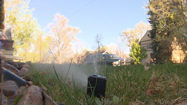 sprinkler.jpg 