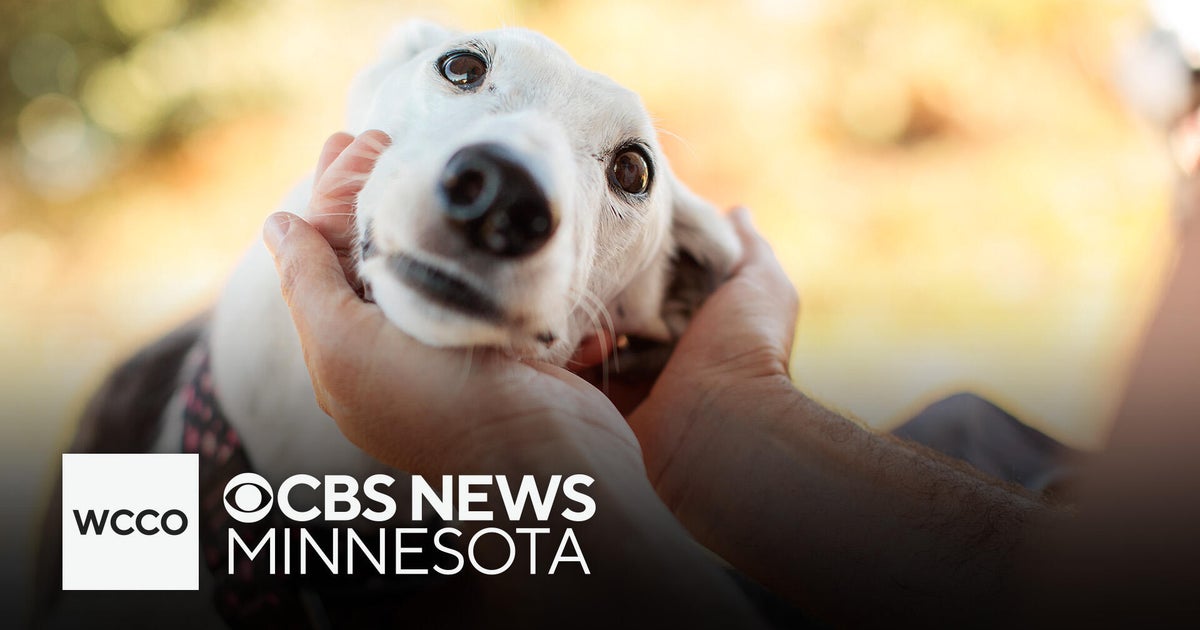 New Minnesota law allows unused vet drugs to be donated to pets in need