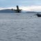 7/24: CBS Evening News