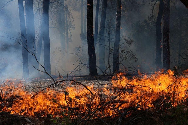 Wildfires in France and Spain force 200,000 to flee