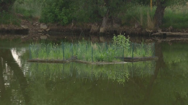 lee-blair-lakewoods-open-space-supervisor.jpg 