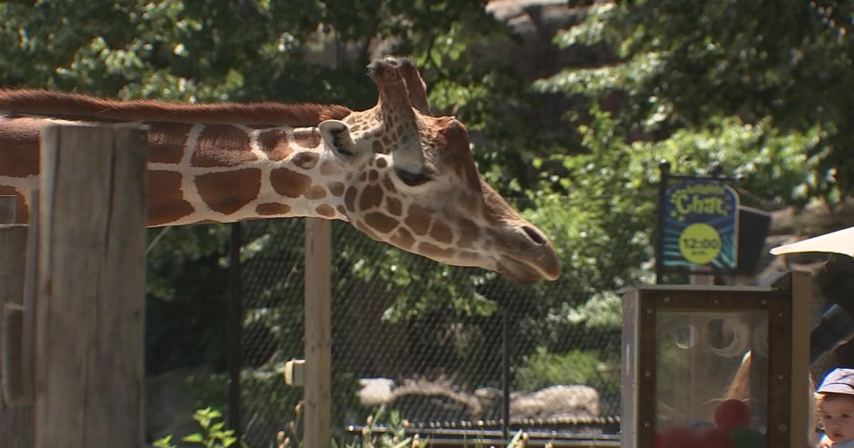 cbsnews.com - Nikki  DeMentri - Philadelphia Zoo 'so unbelievably proud of our past' as America's 1st zoo looks to future