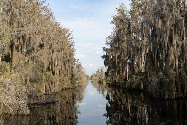 U.S. Fish And Wildlife Service Tells Georgia Mining Company They Can Not Tap Water That Feeds Okefenokee Swamp Wildlife Refuge 