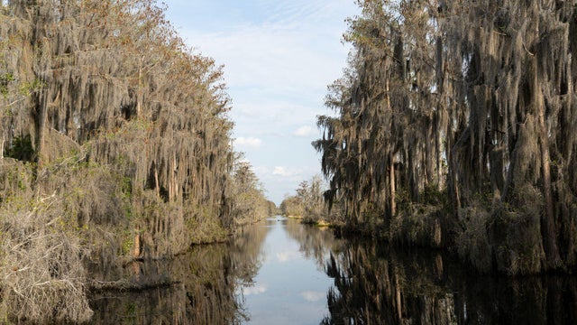 U.S. Fish And Wildlife Service Tells Georgia Mining Company They Can Not Tap Water That Feeds Okefenokee Swamp Wildlife Refuge 