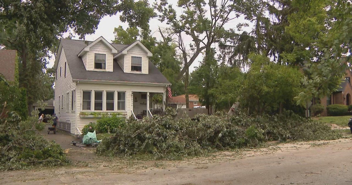 Homeowners cleaning up after storms swept through Homewood, Illinois