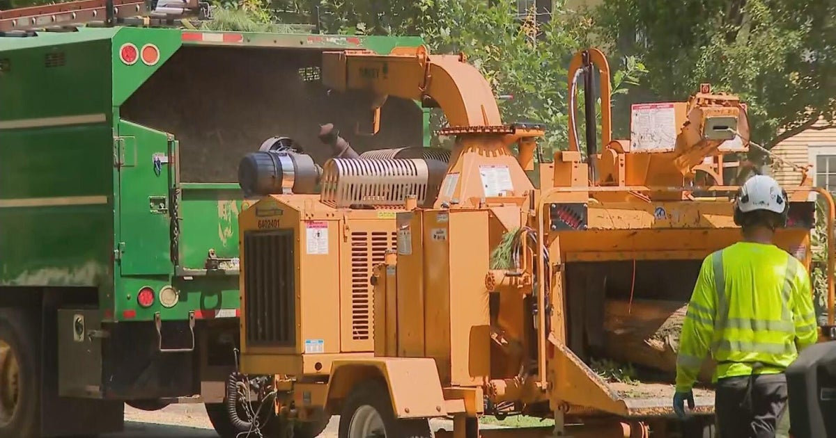 Crews in Glen Ellyn work to clear downed trees, debris amid power outage from strong storms