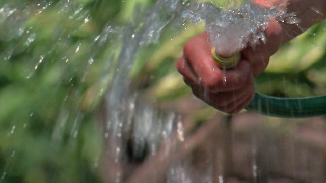 10p-pkg-gq-watering-bans-wccoayoj.jpg 