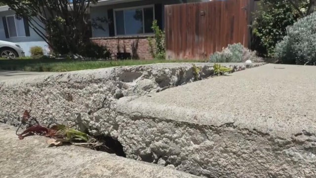sidewalk.jpg 