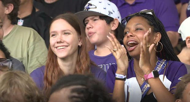 ravens16.png