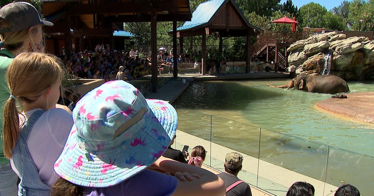 Extreme heat is altering life -- and species -- at the Denver Zoo
