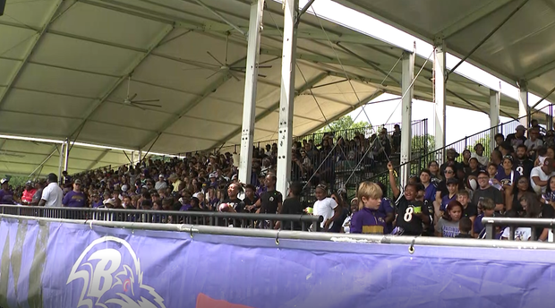 ravens7.png