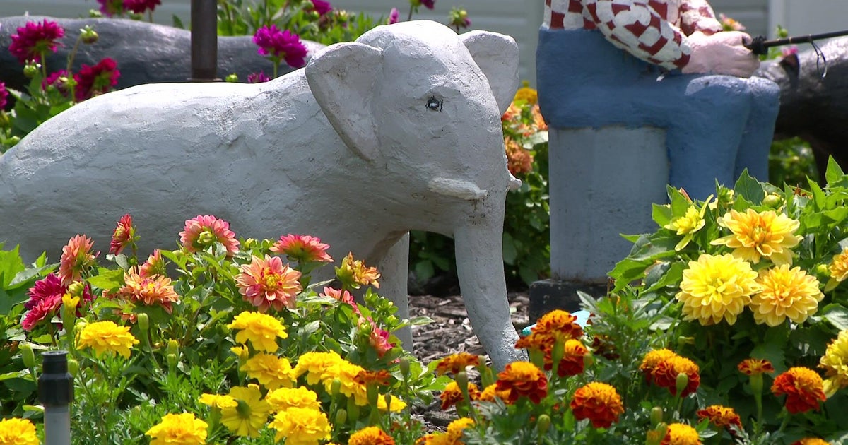 Retired farmer's creative legacy lives on at Praire Moon Sculpture Garden in Wisconsin