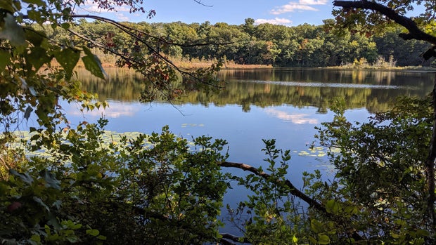 natick-pond.jpg