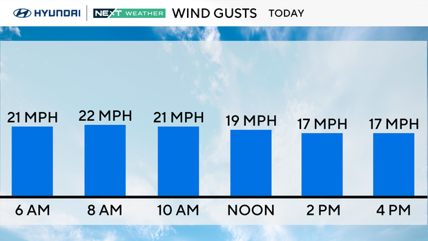 z-gusts-misc.png