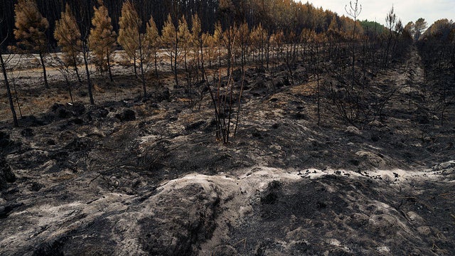 Firefighters west of Bordeaux continue to battle flare-ups 