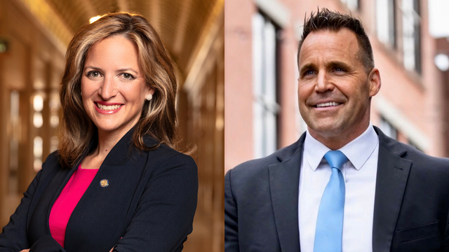 Benson-Swanson Michigan Democratic primary (gubernatorial) 