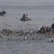 Thousands of migrants cross into Spain's tiny Ceuta territory, some die in journey