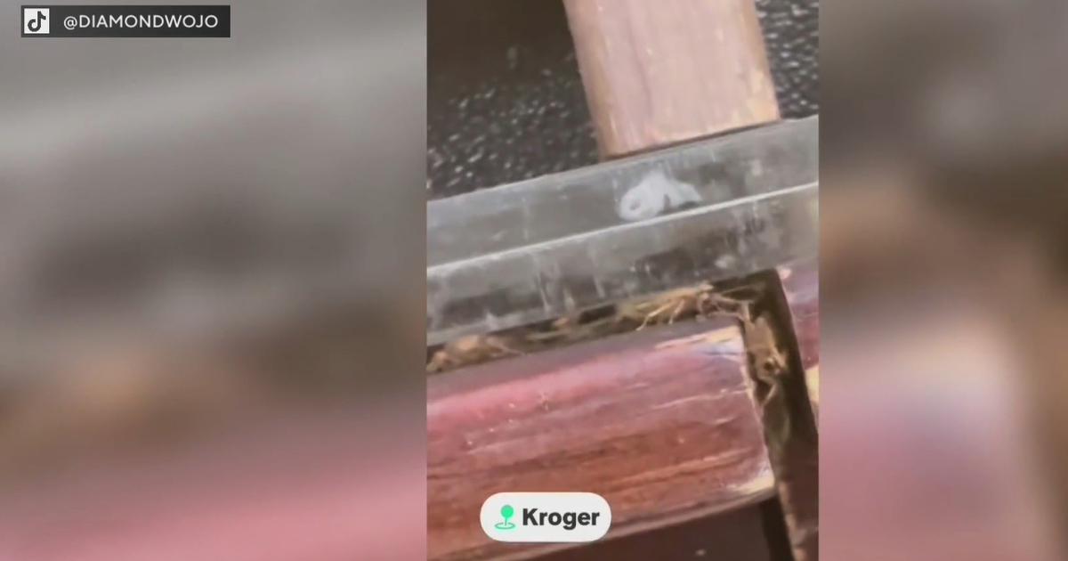 Kroger responds after viral TikTok appears to show bugs near produce at store in...