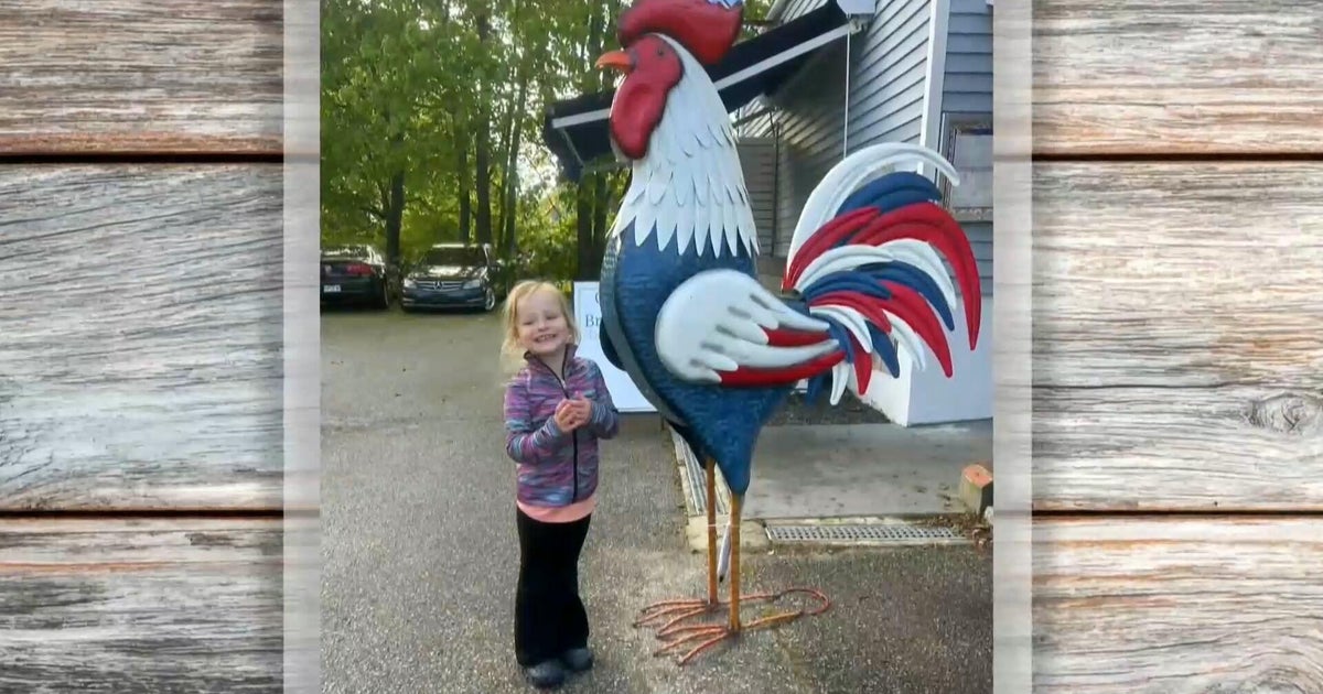 How a community rallied around a little girl and her love for roosters