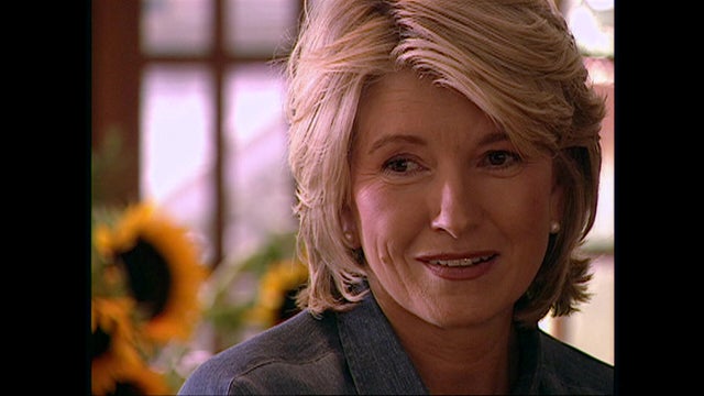 ot-marthastewart-2004rewind.jpg 