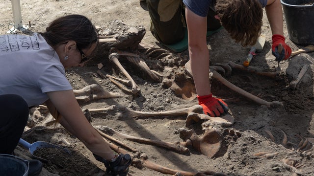 UKRAINE-POLAND-HISTORY-WWII 