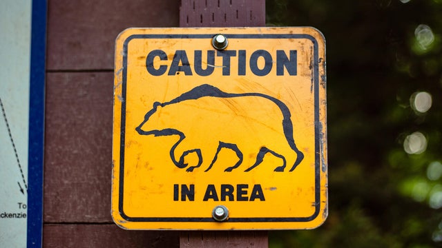 caution sign bear in area 