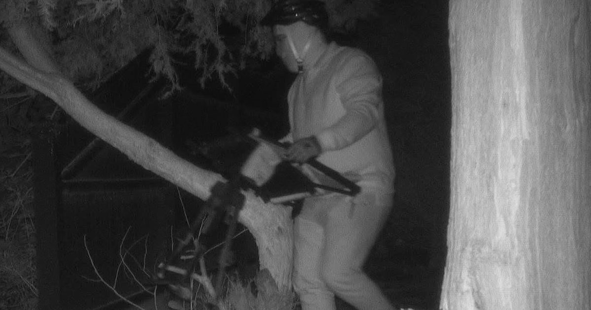 "It's creepy": Police search for masked man seen on video outside Weston home