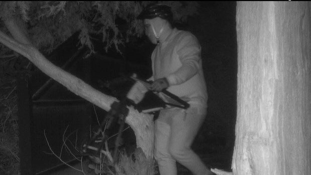 Weston masked man