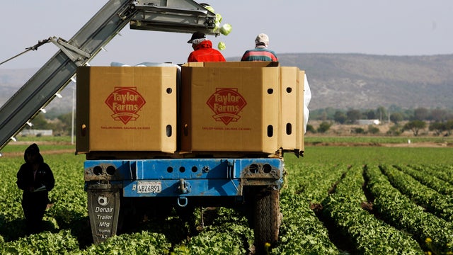 Mexico Offshore Farming 