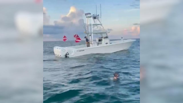 cbsmiami-lobster-diving-incident-1.jpg 