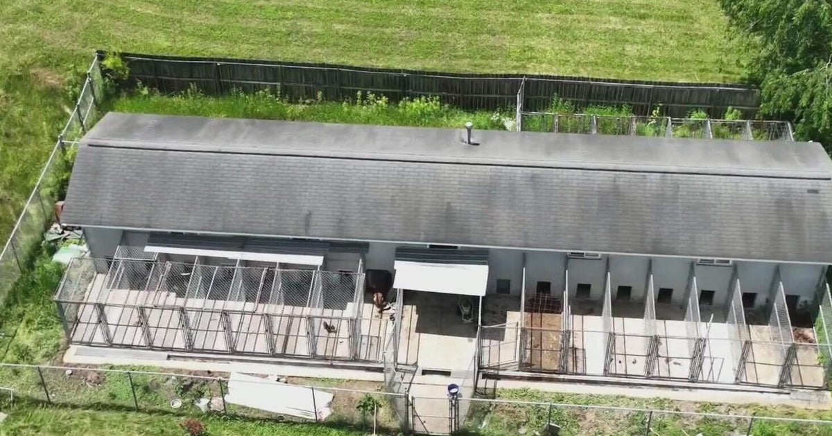 Woman headed to trial after humane officers discover unlicensed kennel that 