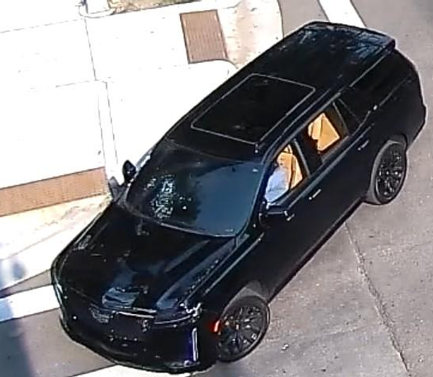 medina-alert-escalade.png