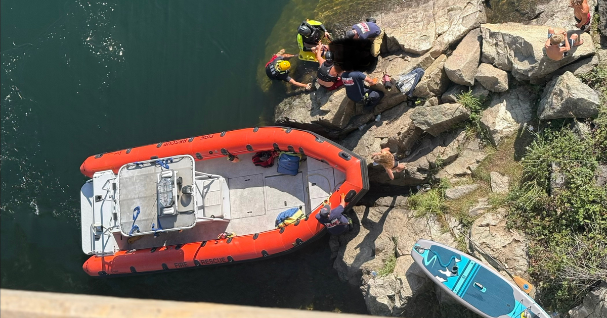 Teen rescued after jumping from Rainbow Bridge in Folsom, officials say