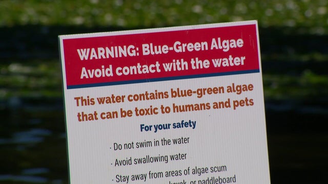 raw-sat-beaches-closed-algae-warning-broll-schwab-grams-00-01-3026.jpg 
