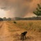 Europeans face energy crisis as heat wave brings wildfires and drought