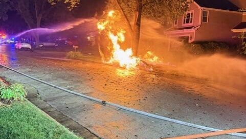 bartlett-tree-fire.jpg 