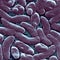 Flesh-eating bacteria kill at least 7 along Gulf Coast. How to protect yourself.