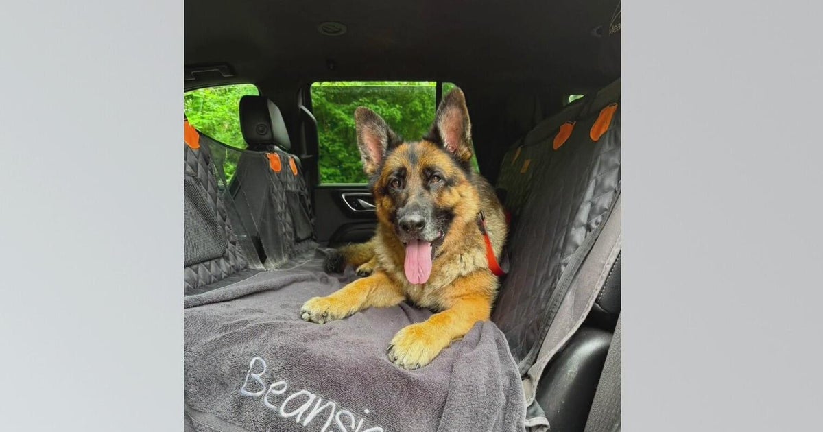 Pittsburgh-area family warns pet owners after beloved dog dies from rare fungal ...