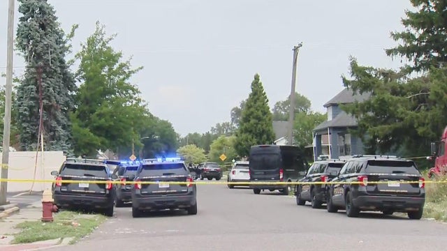 Man shot in Detroit 7 Mile Klinger Street 