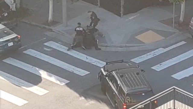 sf-burglary-arrests-081126.jpg 