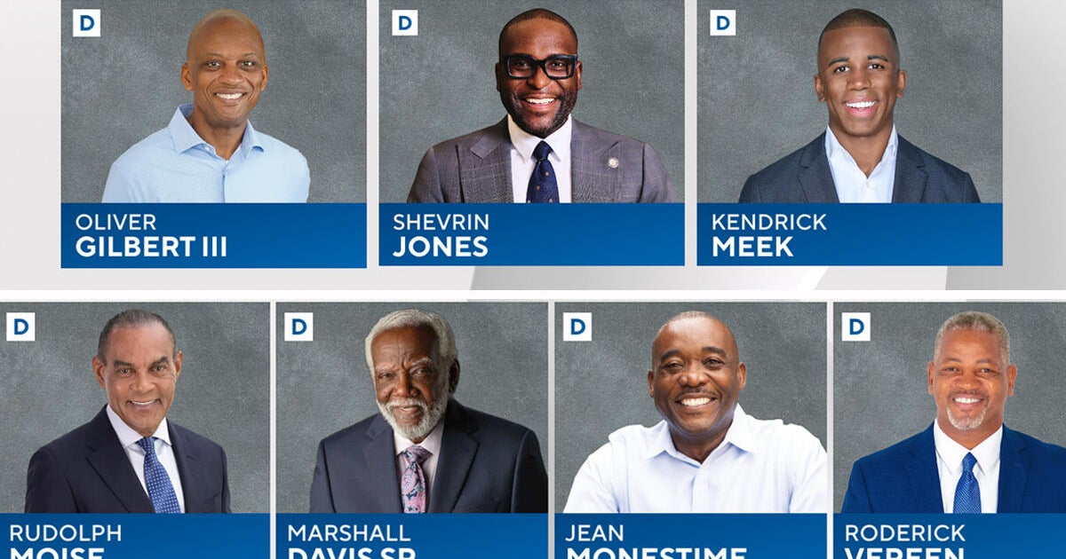 Seven Democrats compete for chance to win seat representing Florida's District 24
