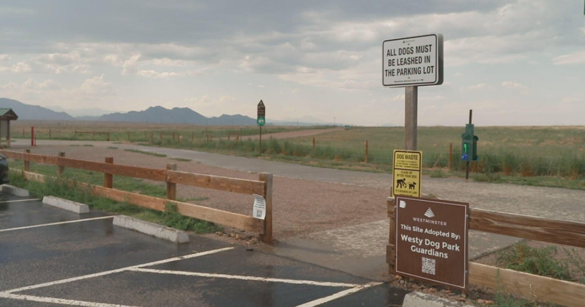 Several dogs bitten by rattlesnakes in Colorado's Westminster Hills Open Space as heat wave continues