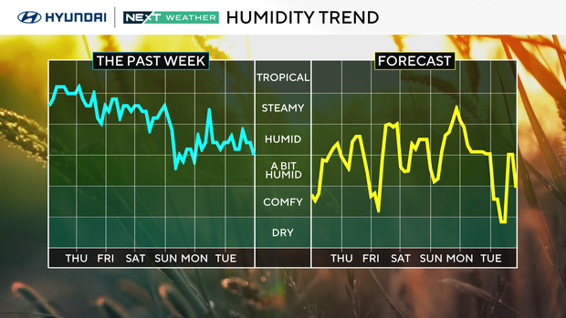 z-region-forecast-tomorrow.png 