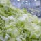 Farm linked to cyclosporiasis outbreak has not been inspected since 2019