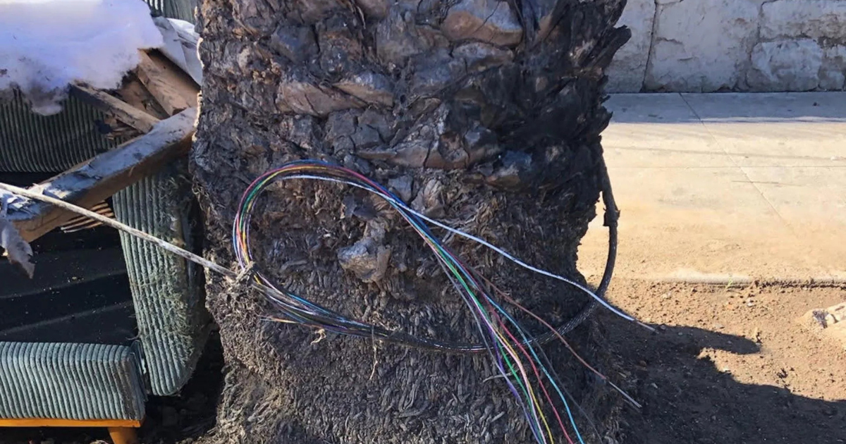 Verizon offers $25k reward after cut fiber lines lead to hours-long ...