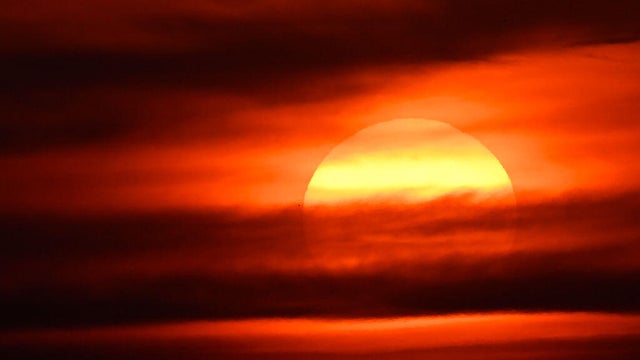 TOPSHOT-GERMANY-WEATHER-CLIMATE-HEATWAVE 