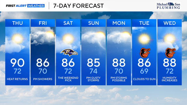am-7-day-2026-08-13t083007-543.png 