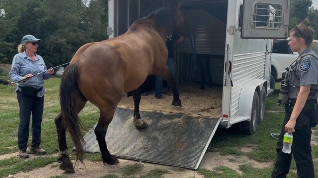 milford-horse-farm.jpg 